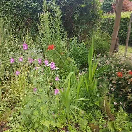 Weschnitzstubb Rimbach (Hessen)