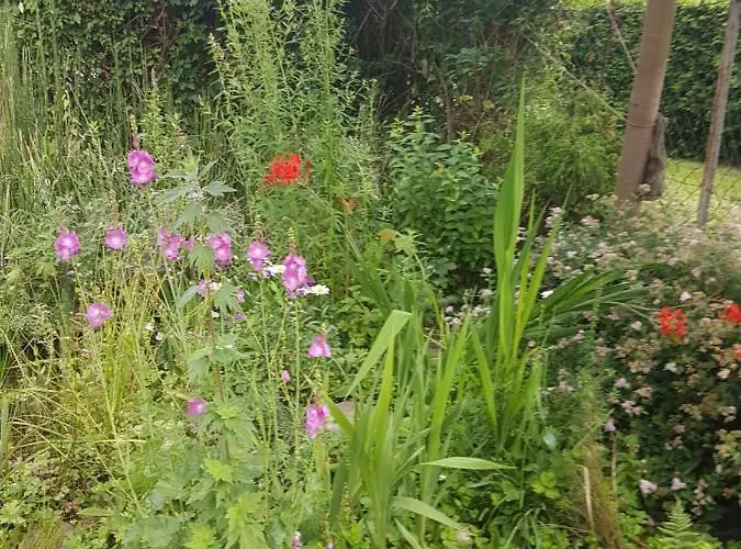 Weschnitzstubb Rimbach (Hessen)